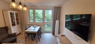 Apartament Saturna - Czeladź - 4