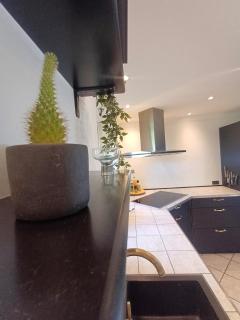 Grand Lux House with private parking - Hjørring - 9