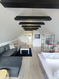 Grand Lux House with private parking - Hjørring - 4