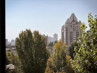Уютная студия в скандинавском стиле в центре - Astana - 7