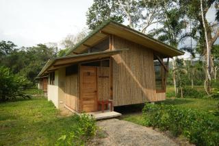 Ecotone Manu Bio Lodge All-Inclusive - Pillcopata - 6