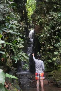 Ecotone Manu Bio Lodge All-Inclusive - Pillcopata - 5