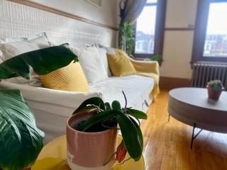 Beautiful Sunny big apartment - Montréal - 1
