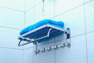 Olivory accommodation - 5