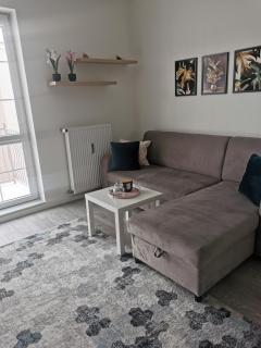 Apartament przy Lesie - Olsztyn - 1