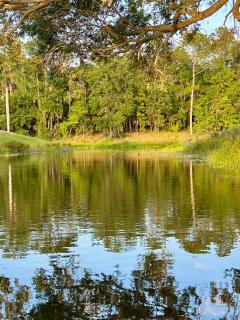 The Happy Hideaway - 5