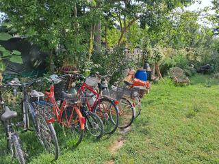 B&B Susy e Max - 9