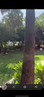 chacara linhares - Aparecida de Goiânia - 2
