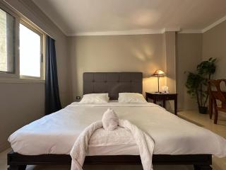 Spacious 3BR Penthouse in Degla, Maadi - 2