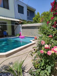 Ilirida-Swimming pool & garden view rooms for rent - Durrës - 9