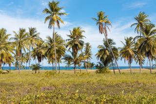 Casa Espaçosa com Piscina-Praia do Forte - 3