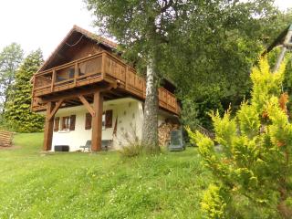 Chalet l'églantier - Ventron - 0