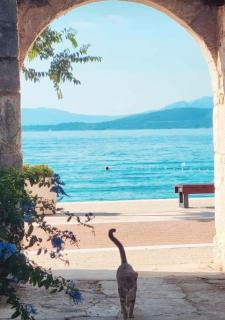 Apartman Matea - Igrane - 8