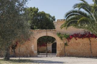Historic Finca Nature, Charm & Total Privacy - Búger - 9