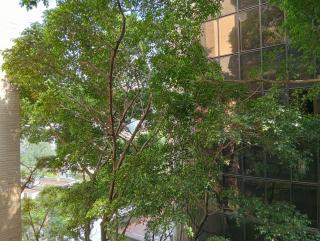Hotel Rulay Medellin - Medellín - 6