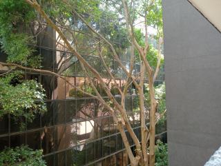 Hotel Rulay Medellin - Medellín - 4
