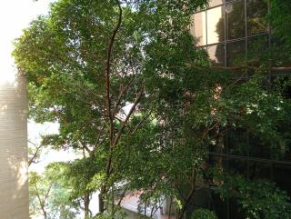 Hotel Rulay Medellin - Medellín - 2
