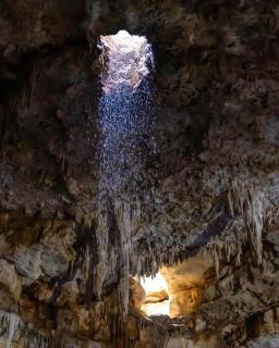Spazi Ha Glamping & Cenote - - 3