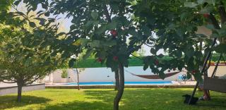 Holiday Home Libera - Bihać - 8