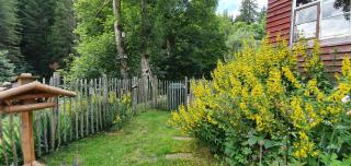 Ferienwohnung Waldfee - Schluchsee - 7