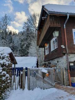 Ferienwohnung Waldfee - Schluchsee - 1