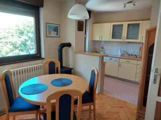 Trebišnjica Riverside Apartment - Trebinje - 1