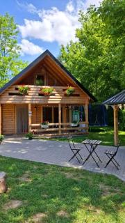 Kuća za odmor Stara Jabuka - Ledinci - 9