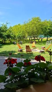 Kuća za odmor Stara Jabuka - Ledinci - 5