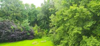 Pause nature - La Calamine - 0