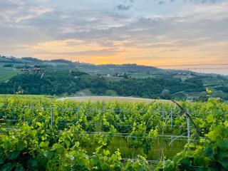 Cascina Piandamiane, soggiorno sostenibile e charme d'epoca nella natura delle Langhe - Rodello - 2