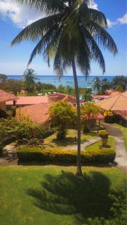 Studio Les Hauts de Caritan - Sainte-Anne - 6