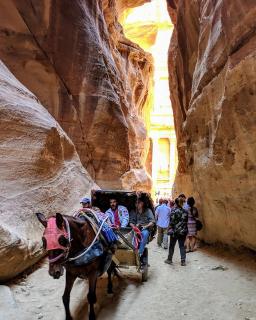 Tourist guide - - 2