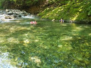 Tanigawa Valley Lodge & Coffee Roastery - 1