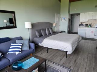 Concerts! Lake Winni Views! Kitchen! Pool! Hot Tub! - Laconia - 8