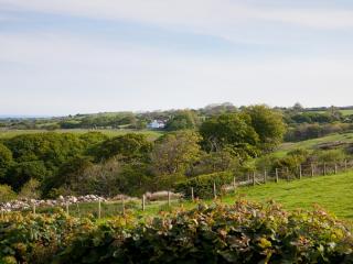 Hendre - Llanllyfni - 2