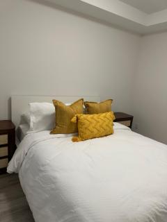 Private Room in Luxury Penthouse Located in Windsor Lasalle ON - Windsor - 3