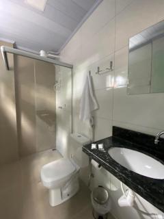 Executive Hotel Aguas lindas GO - Macacos - 5