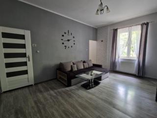 Gemini Apartment with free parking - Poznań - 7