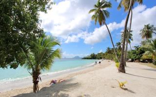 Vos vacances à 800m de la plage de l anse figuier - Rivière-Pilote - 7