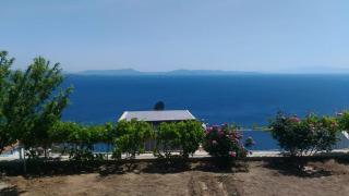 pitanehouse - Dikili - 0