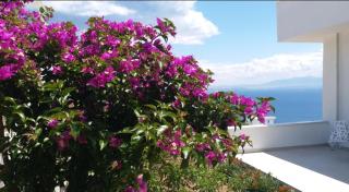 pitanehouse - Dikili - 5