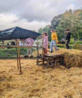 Goldings Estate Stables private firepit bbq - Bramfield - 4