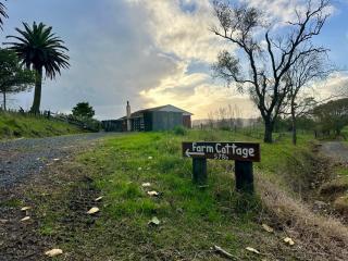 Puketotara Station Farm Cottage - Ruawaro - 9