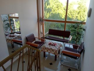 SMEŠTAJ SOLARIS kod Aqua Parka Lux Apartman LAZAR - Soko Banja - 6