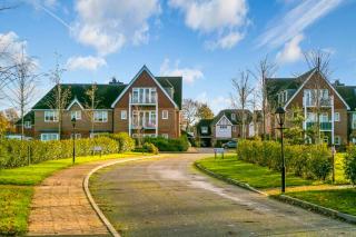 Modern Hampton Hideaway - East Molesey - 4