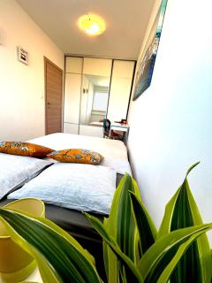 Apartments Fantasy & Magica - Pula - 0