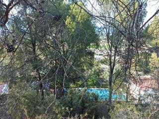 Buenas vistas y privacidad, tranquila y fresca villa en el bosque de Valencia con una magnífica piscina de 80m2 - Lliria - 4