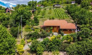 Holiday home Pavic with jacuzzi and sauna - Krapina - 3