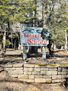 Beautiful Mountain Getaway - Walk to Everything! - Lyndhurst - 4
