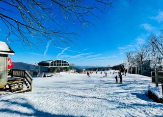 Beautiful Mountain Getaway - Walk to Everything! - Lyndhurst - 2